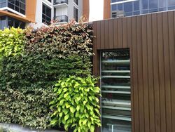 Coco Palms (D18), Condominium #627475451